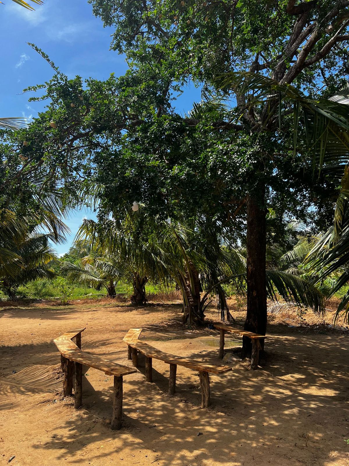 Natural Relaxing Area