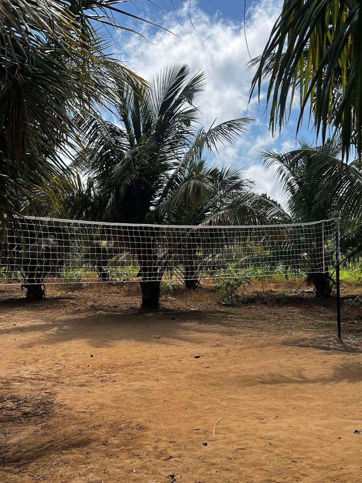 Volleyball Court
